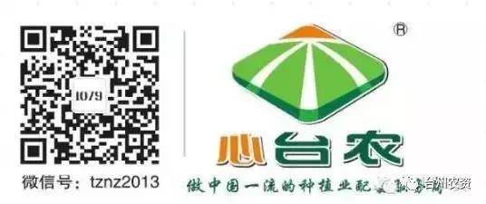 臺(tái)州農(nóng)資攜手意大利啟騰與浙柑所達(dá)成戰(zhàn)略合作，開啟柑橘可持續(xù)栽培研究新篇章！