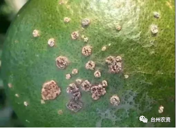 1675672477421367.png 640 (62).png